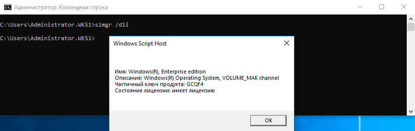 Удалить Ключ Windows 10 – Зачем и Как? 3 resetactivation1