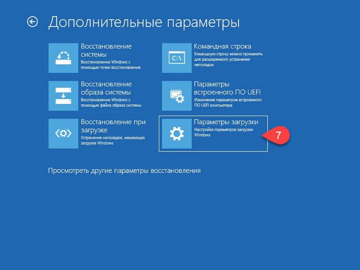 Доп. параметры загрузки Windows 10. 2 param zagruzki